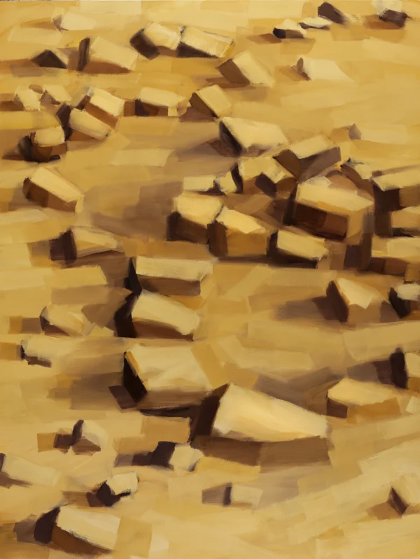 LITHIC MEMORIES 1