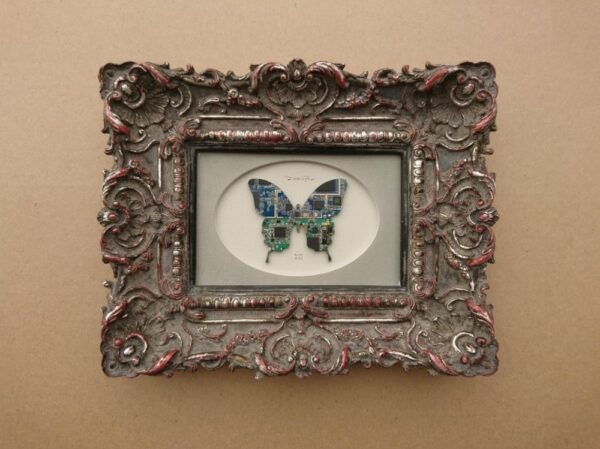 Butterfly XXI century