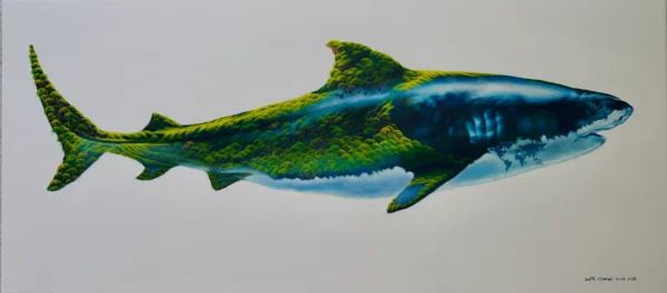 Shark