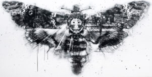 Acherontia atropos helsinkis