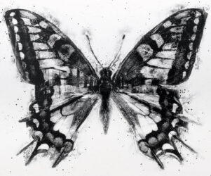 Papilio machaon velodromis